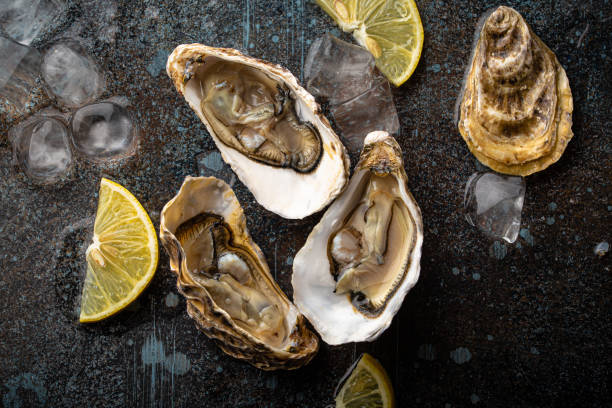 istock Fresh open oysters top view with lemon wedges and ice 1360257949