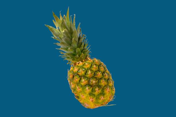 istock Pineapple on a color background. Clipping paths. Golden ripe pineapple fruit on a color background. Healthy nutrition 1360260010