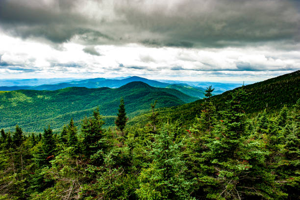 Green Mountains of Vermont Views from the top of Mt. Mansfield in Stowe, Vermont of the surrounding Green Mountain State Park in Stowe, Vermont.  Stowe, Vermont is a town in northern Vermont known for skiing and year round outdoor activities. green mountains appalachians photos stock pictures, royalty-free photos & images