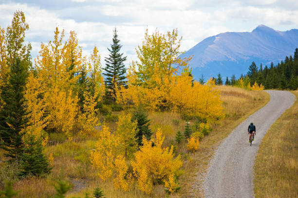 istock Rocky Mountain Gravel Road Bicycle Ride 1360267752