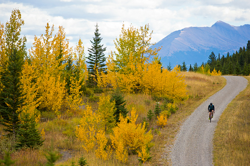 A man goes for a gravel road bike ride in the Rocky Mountains of Alberta, Canada in the autumn. Gravel bicycles are similar to cyclo-cross bikes with larger tires for riding on rough terrain.