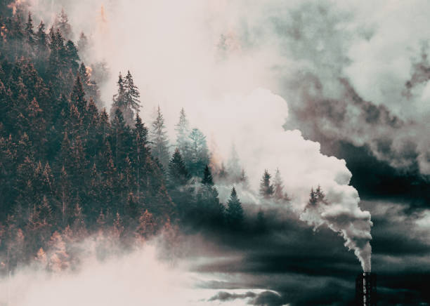 The thick with trees