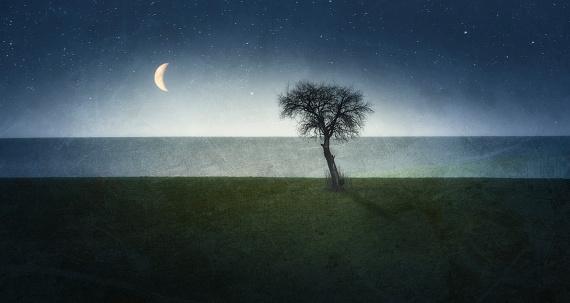 Panorama of artistic landscape on lonely tree on field and stary night.