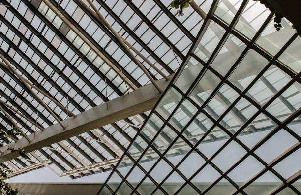 Burred light and shadow passing through glazed ceiling shines. Burred light and shadow passing through glazed ceiling shines and leaves of green trees. Selective focus. burred stock pictures, royalty-free photos & images