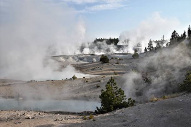 istock Geysers Erupt in Norris Geyser Basin 1360275813