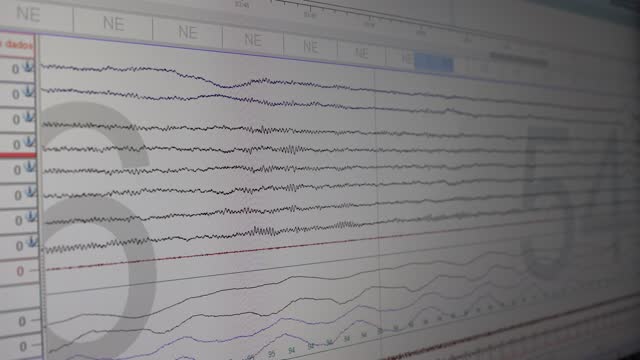 Computer monitor showing brain waves