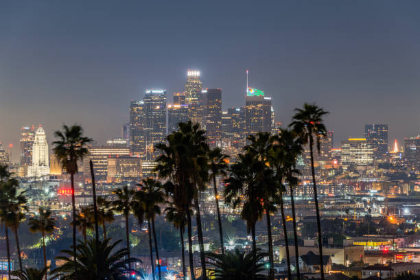 istock Downtown Los Angeles Skyline with Palms 1360279400