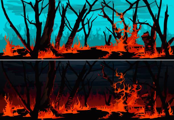 Forest fire with burning grass and trees Forest fire with burning grass and trees vector banners. Wildfire at night or bushfire by day nature landscapes of environment design with burning woods, red fire flames, blaze and smoke clouds wildfire smoke stock illustrations