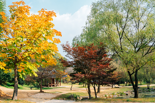 Korean traditional house and autumn forest at Juknokwon in Damyang, Korea