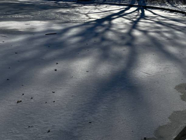 istock Shadow on Frozen Lake 3 1360285681