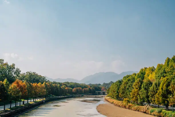 Gwanbangjerim autumn forest and river in Damyang, Korea