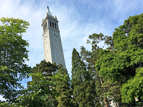 Berkeley, California, USA - April, 28, 2019: The Campanile at the campus of the University of California, Berkeley in Berkeley, California emerges from behind a stand of trees and in front of wispy clouds on a spring day. Officially known as Sather Tower, it is the third tallest bell and clock tower in the world and was opened in 1917. It's architect was John Galen Howard
