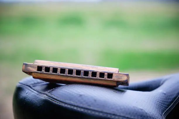 Photo of Harmonica on bicycle seat on background of green grass.Music for road.
