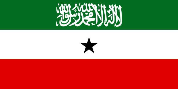 소말말란드 국기 벡터 - somaliland stock illustrations