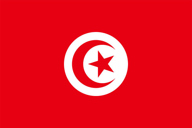 wektor flagi narodowej tunezji - tunisia stock illustrations