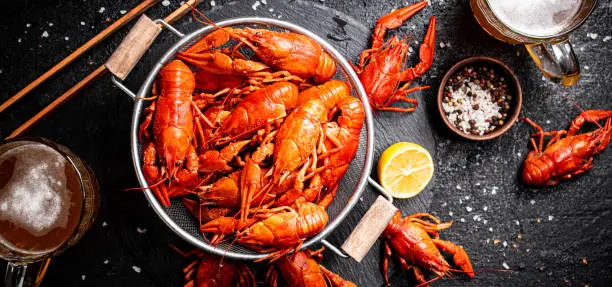 Boiled crayfish in a colander and a glass of beer. On a black background. High quality photo