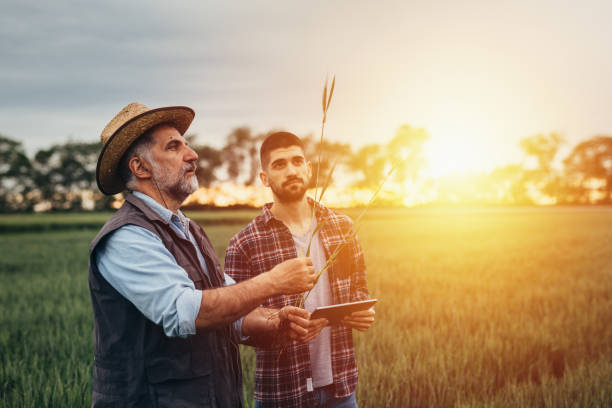 istock farmers outdoor 1360309185