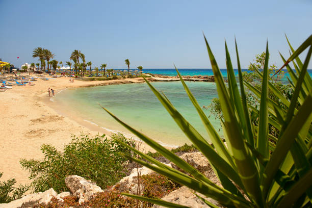 May 2, 2014: Sandy beach on the coast of Cyprus. Ayia Napa. Cyprus.