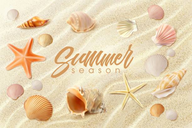 Summer beach background, realistic seashells. Summer beach background, realistic seashells and starfishes on sand. Sea or ocean coast with shells and star fish top view. Vector sandy seaside surface and conch on island, exotic tropical plage plage stock illustrations