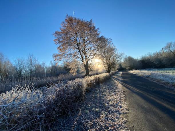 istock Nice walk in frosty sunny weather 1360313378