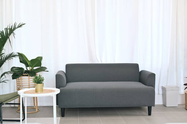 istock Comfortable sofa, white table and houseplants in bright living room interior. 1360313575
