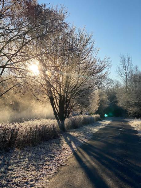 istock Nice walk in frosty sunny weather 1360313619