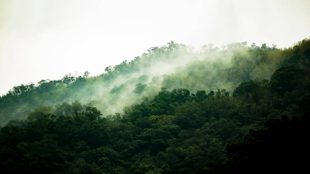istock Mountains with smokes likes Chinese brush painting 1360314304