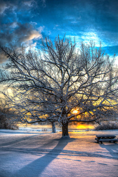 istock Creek Morning_4_S 1360316357