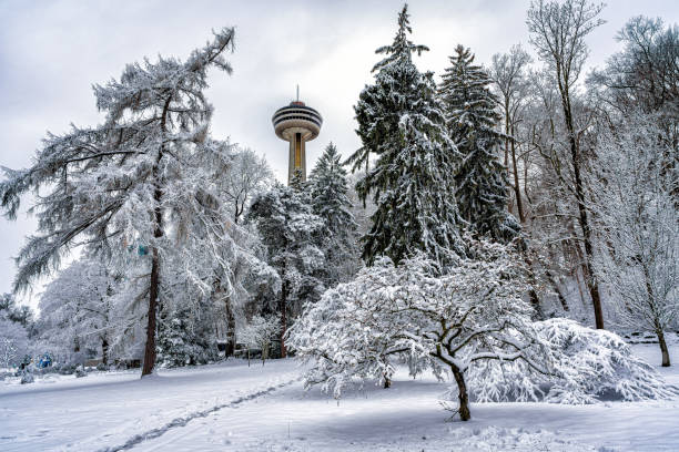 istock Fresh Snow at The Skylon_25-1 1360316376
