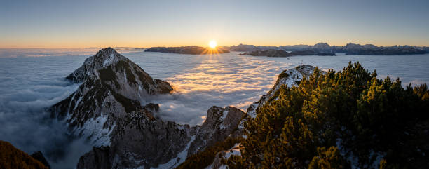 berchtesgadener alpen bei sonnenaufgang über wolkenmeer, zwiesel gipfelkreuz, bad reichenhall, bayern, deutschland - watzmann stock-fotos und bilder