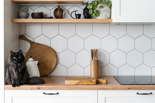 kitchen design