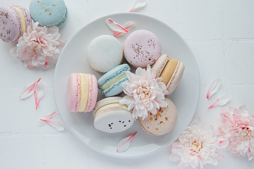 Beautiful colorful tasty macaroons and  white flowers  on a white tile background