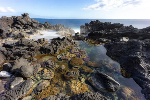 Beautiful view of the sea with colorful corals on the volcanic reef at Langevin, Saint-Joseph, Reunion Island