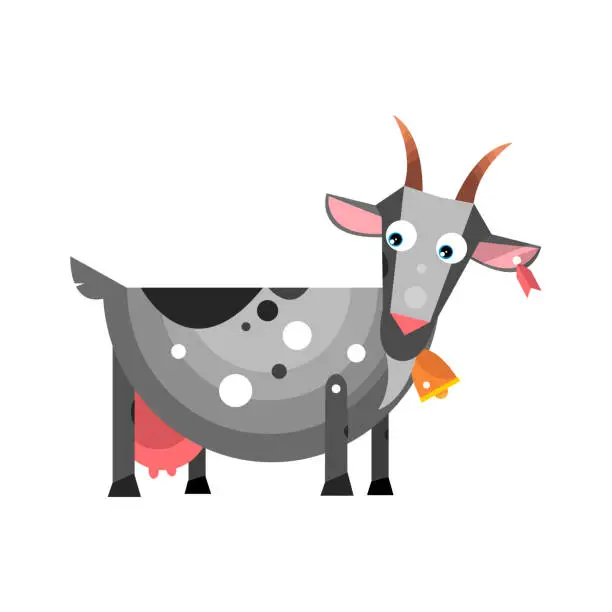 Vector illustration of Dairy goat. The farmer's domestic cloven-hoofed animals. Vector illustration of isolated ha white background.