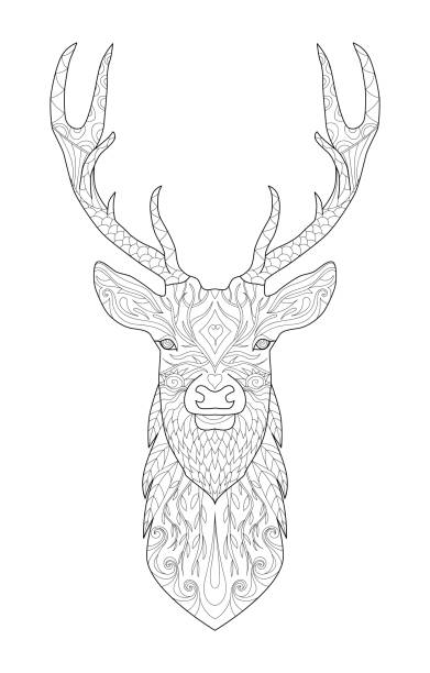 Deer for coloring book Hand drawn deer. Sketch. Page for anti-stress adult coloring book in style. Vector illustration, isolated on white background. Template for poster, t-shirt, cover or tattoo. oracular stock illustrations