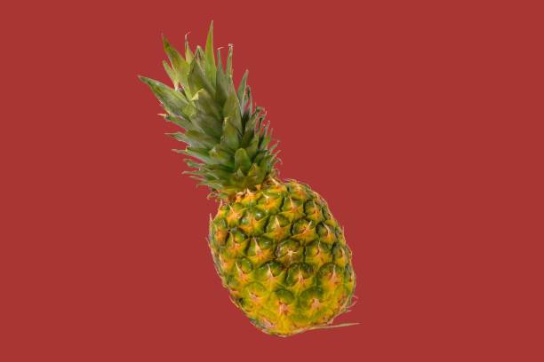 istock Pineapple fruit isolated on pastel background. Creative layout made of pineapple. Flying food. Food concept 1360343996