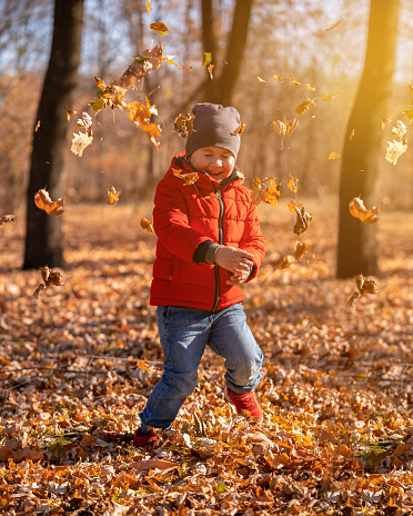 Little four years old boy play in the autumn park. Child jump and throw leaves. Happy kid walk outdoors.