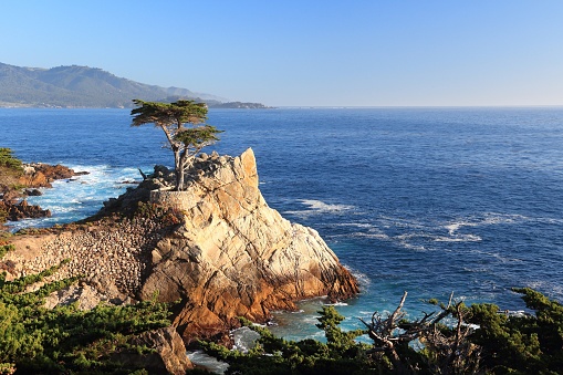 Lone Cypress tree view along famous 17 Mile Drive in Monterey. Sources claim it is one of the most photographed trees in North America.