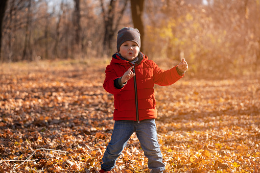 Little four years old boy play in the autumn park. Happy kid walk outdoors.