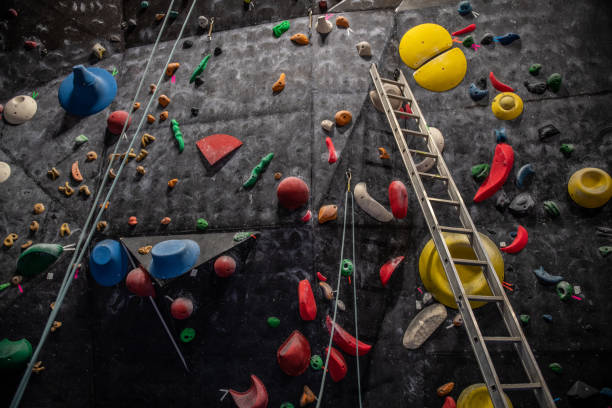istock Ladder on the climbing wall 1360346874