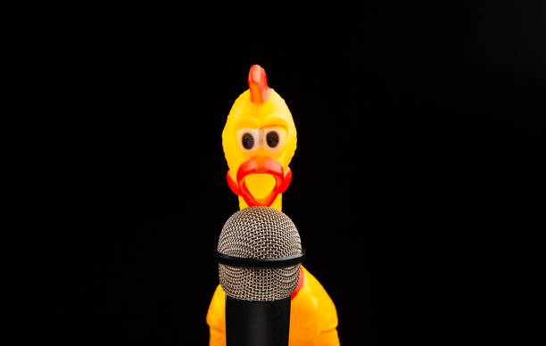 istock image of microphone rubber chicken dark background 1360346990