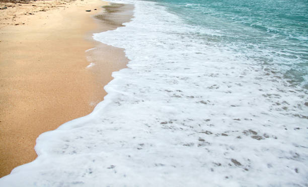 istock Waves and sand of close up tropical empty beach 1360350624