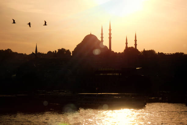 istock Historic district cityscape of Istanbul during sunset 1360351132