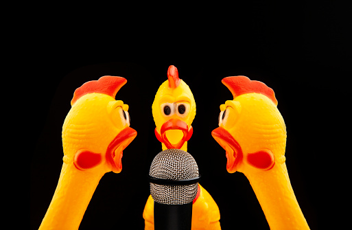 image of microphone rubber chicken dark background