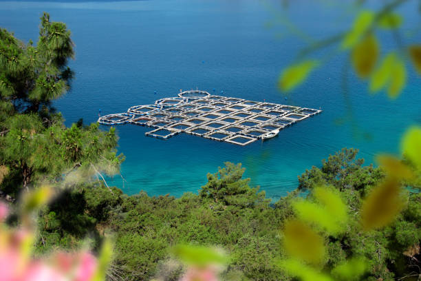 High angle view of fish farm in Bodrum, Turkey.