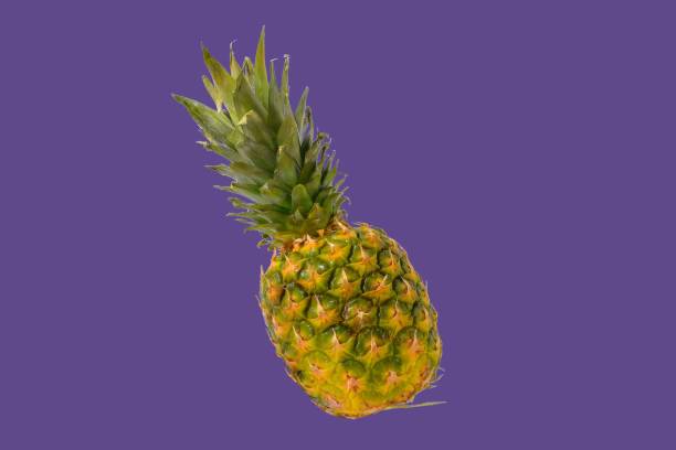 istock Pineapple fruit isolated on pastel background. Creative layout made of pineapple. Flying food. Food concept 1360356112