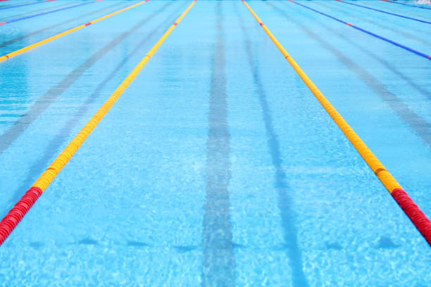istock Empty swimming pool with competition lanes for background. 1360360695