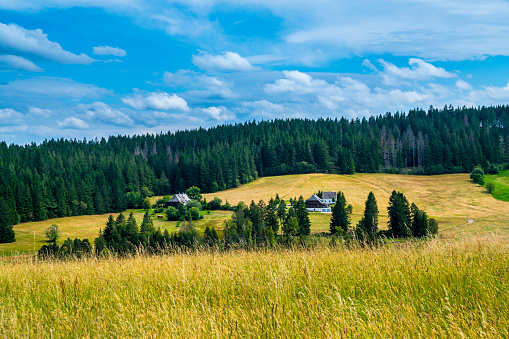 Germany, Black forest nature panorama and original houses at the edge of the forest a beautiful scenery