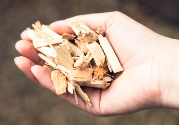 A close-up of wood chips, for use in a biofuel boiler.