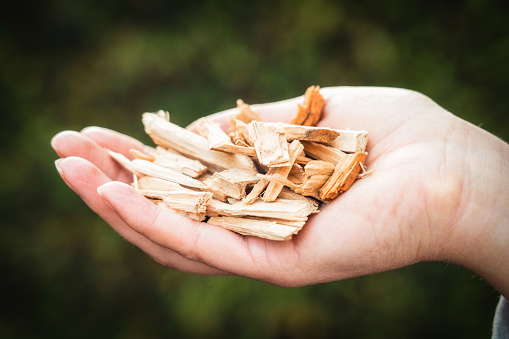 Holding wood chips, for use in a biofuel boiler.